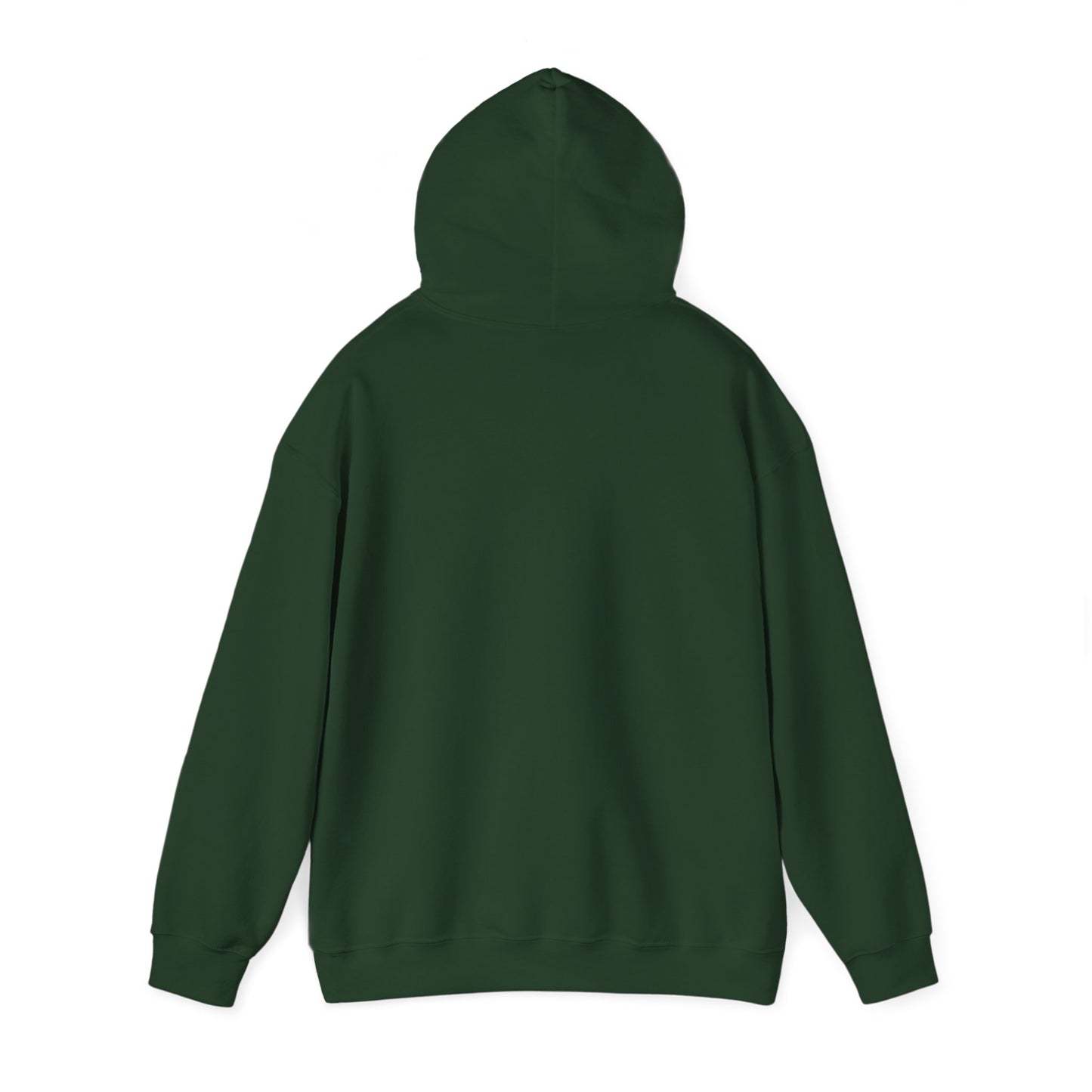 PSA: Don't Be a Dick Pullover Hoodie