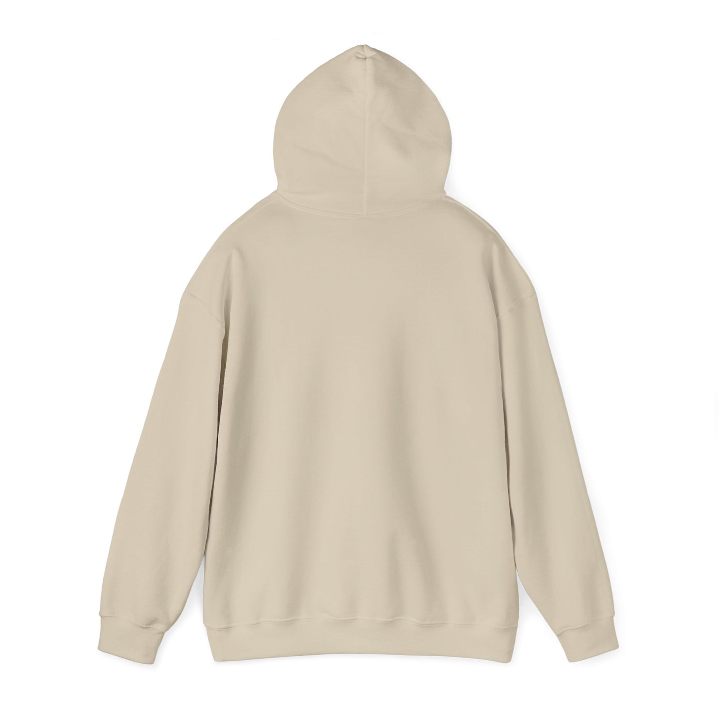 PSA: Don't Be a Dick Pullover Hoodie