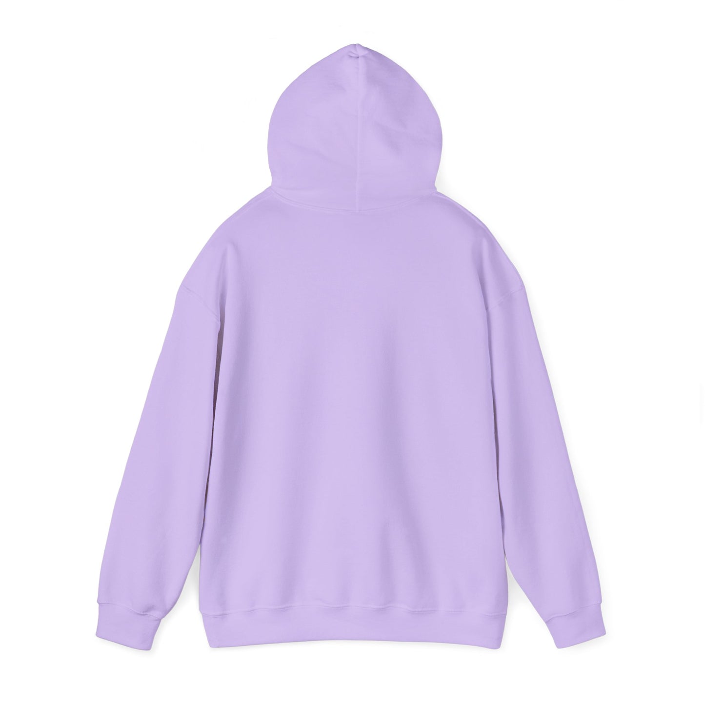 PSA: Don't Be a Dick Pullover Hoodie
