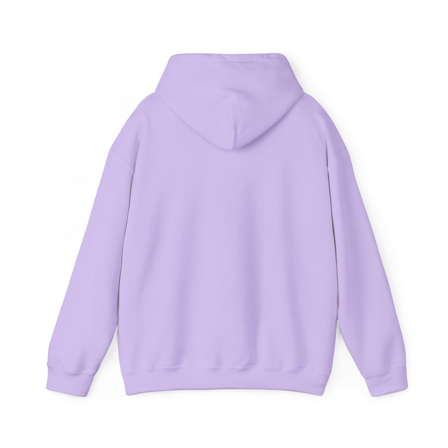 PSA: Don't Be a Dick Pullover Hoodie