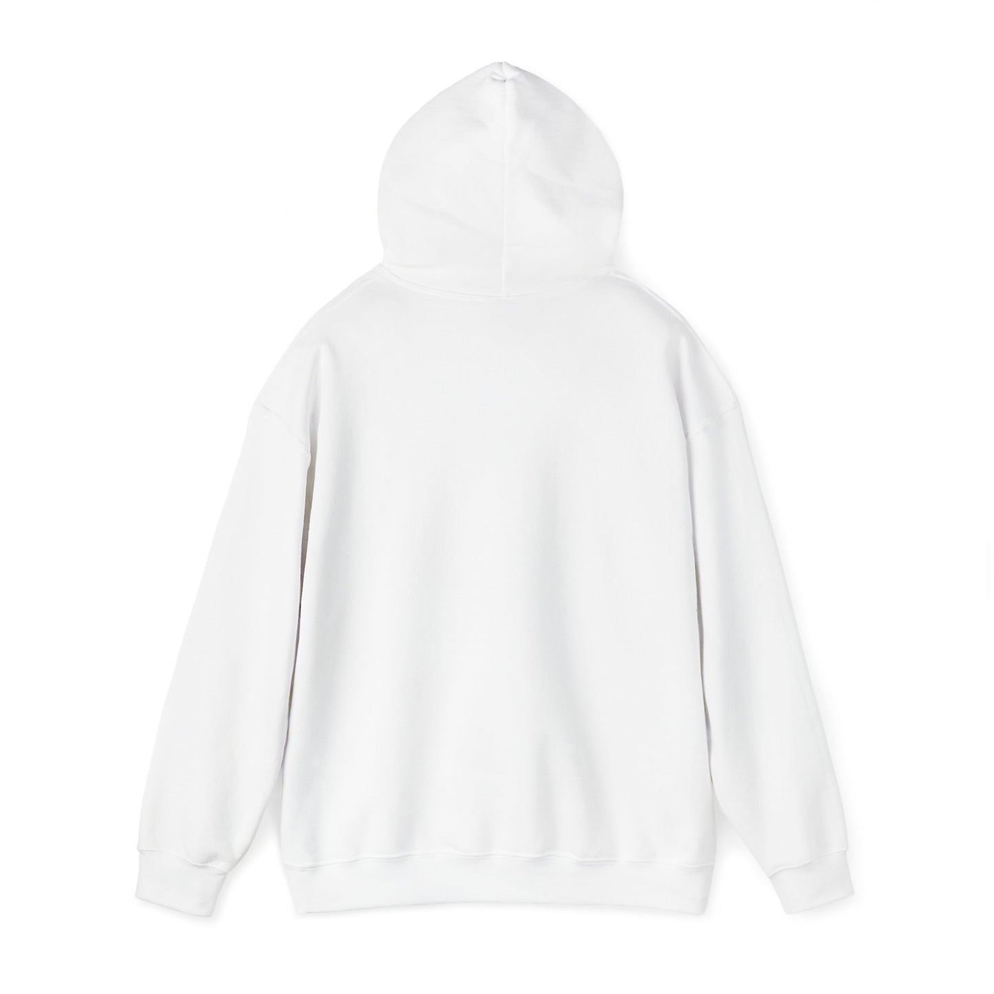 PSA: Don't Be a Dick Pullover Hoodie