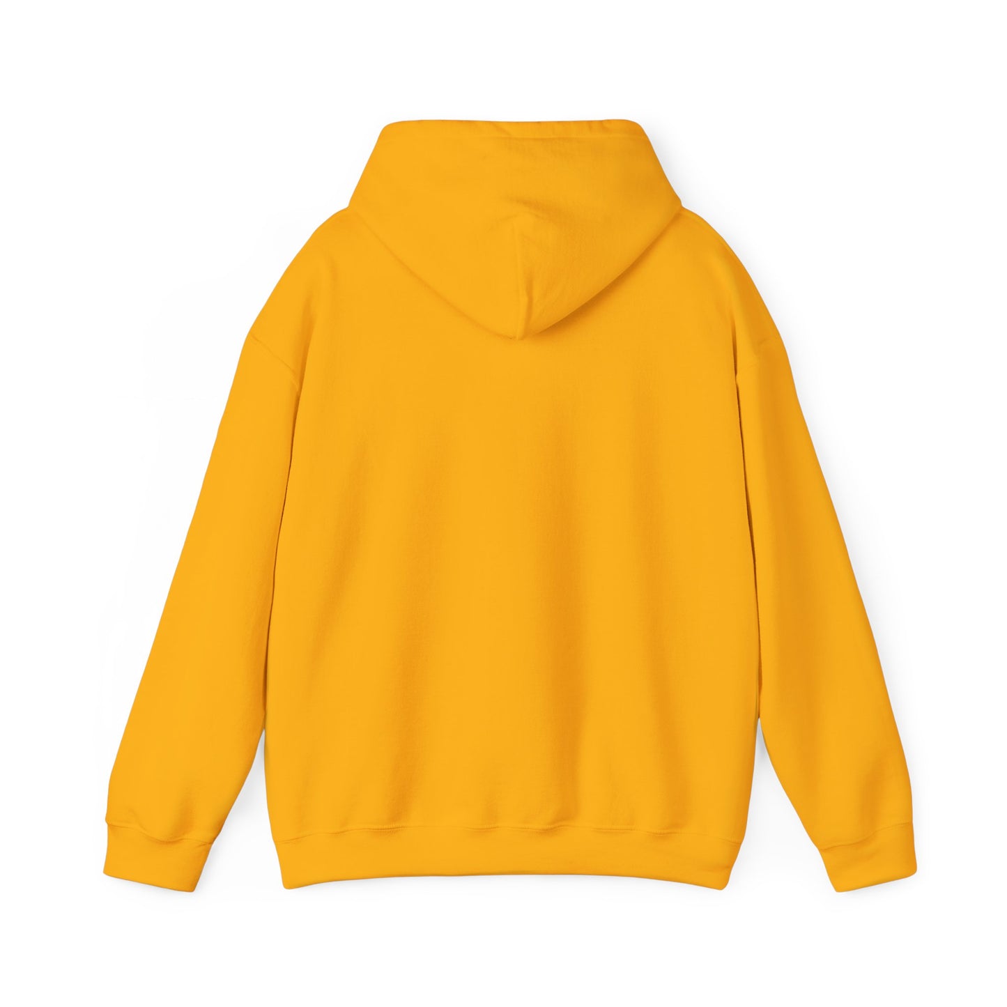 PSA: Don't Be a Dick Pullover Hoodie