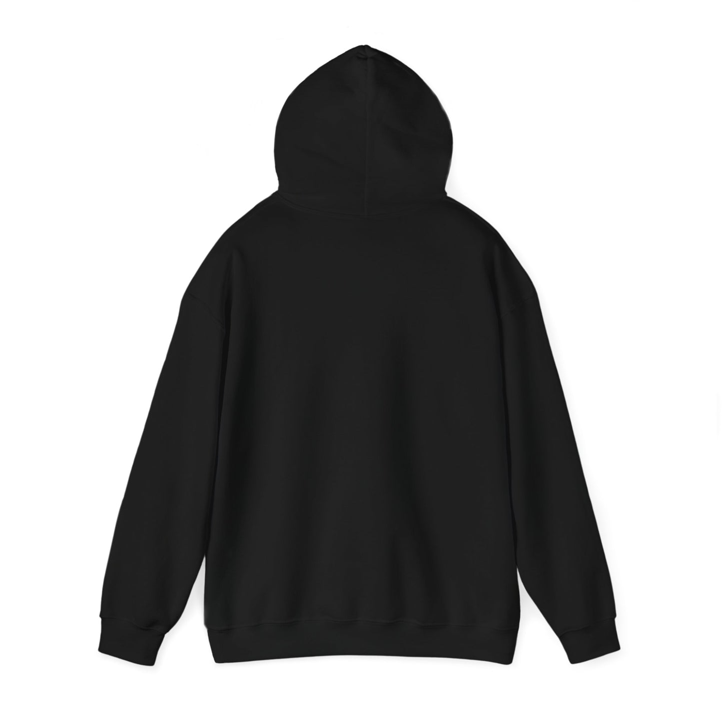 PSA: Don't Be a Dick Pullover Hoodie