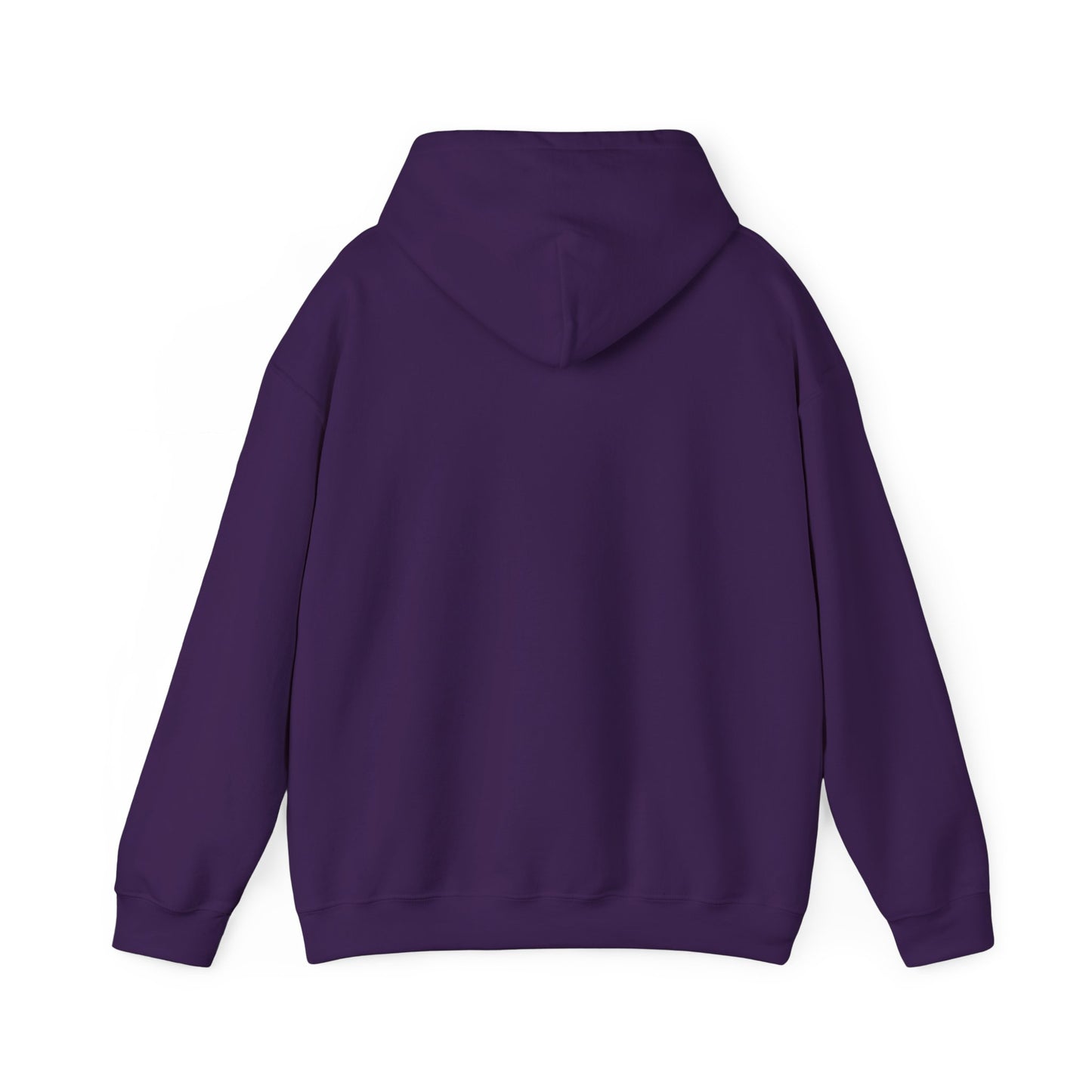 PSA: Don't Be a Dick Pullover Hoodie