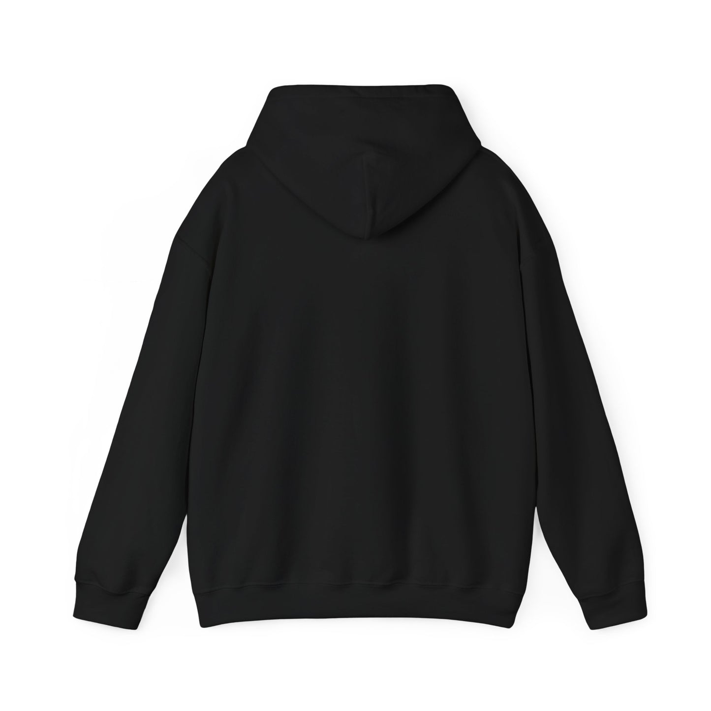 PSA: Don't Be a Dick Pullover Hoodie