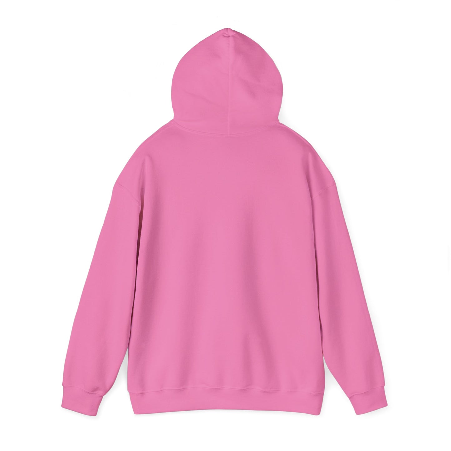PSA: Don't Be a Dick Pullover Hoodie