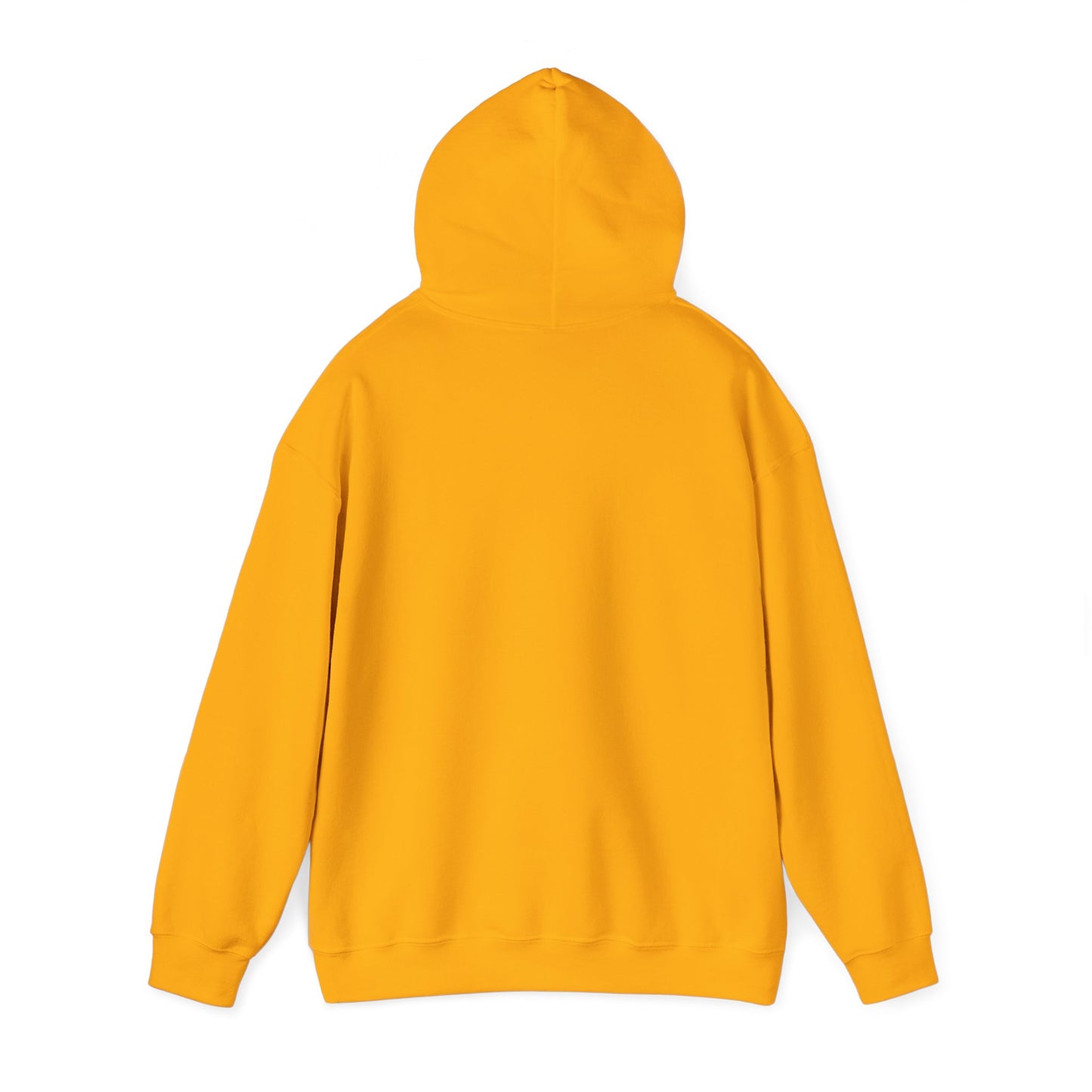 PSA: Don't Be a Dick Pullover Hoodie