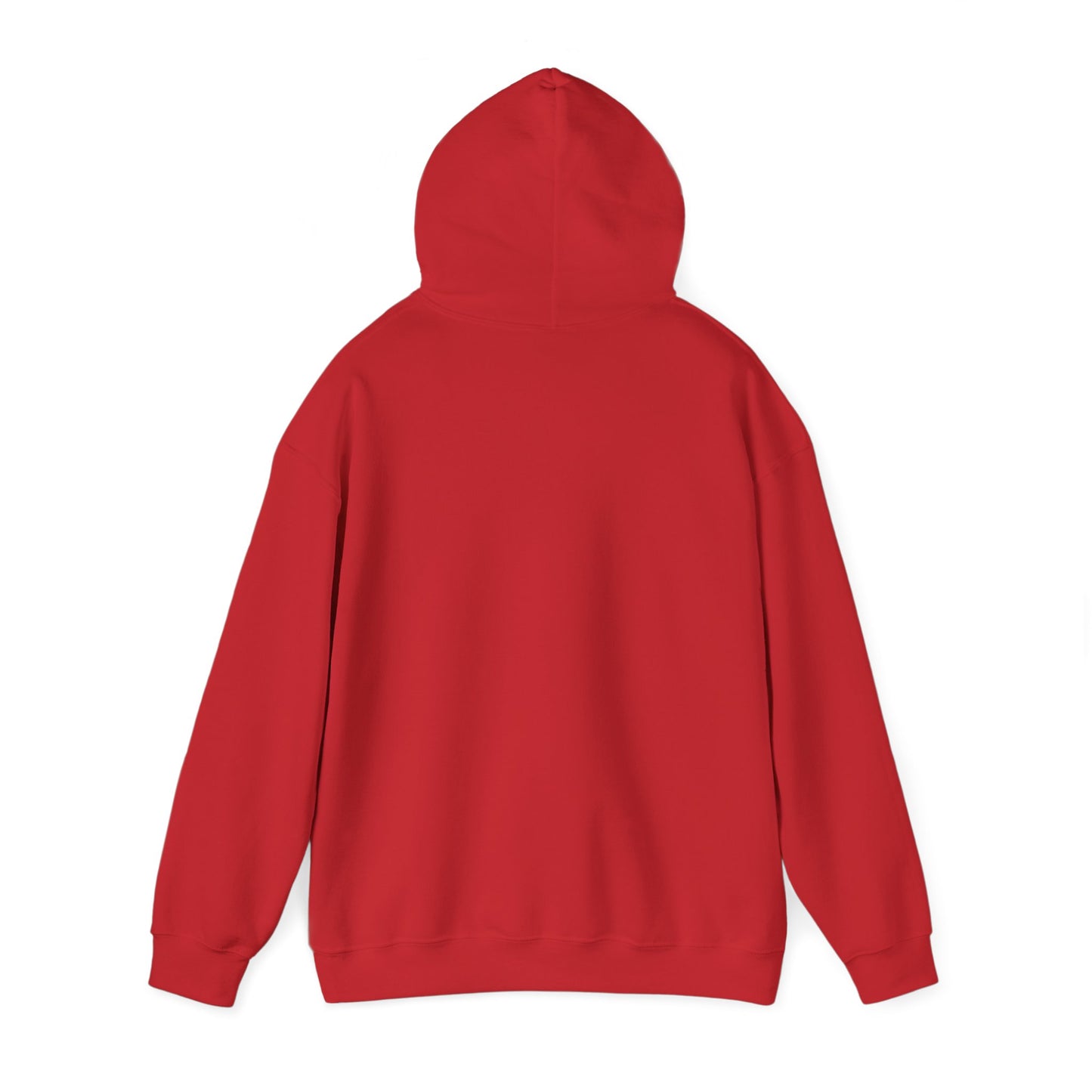 PSA: Don't Be a Dick Pullover Hoodie
