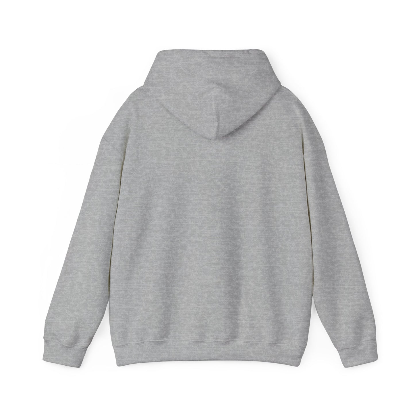 PSA: Don't Be a Dick Pullover Hoodie