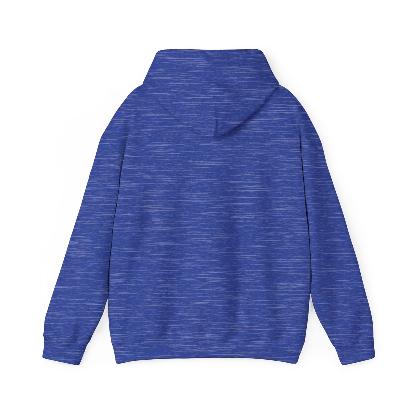 PSA: Don't Be a Dick Pullover Hoodie