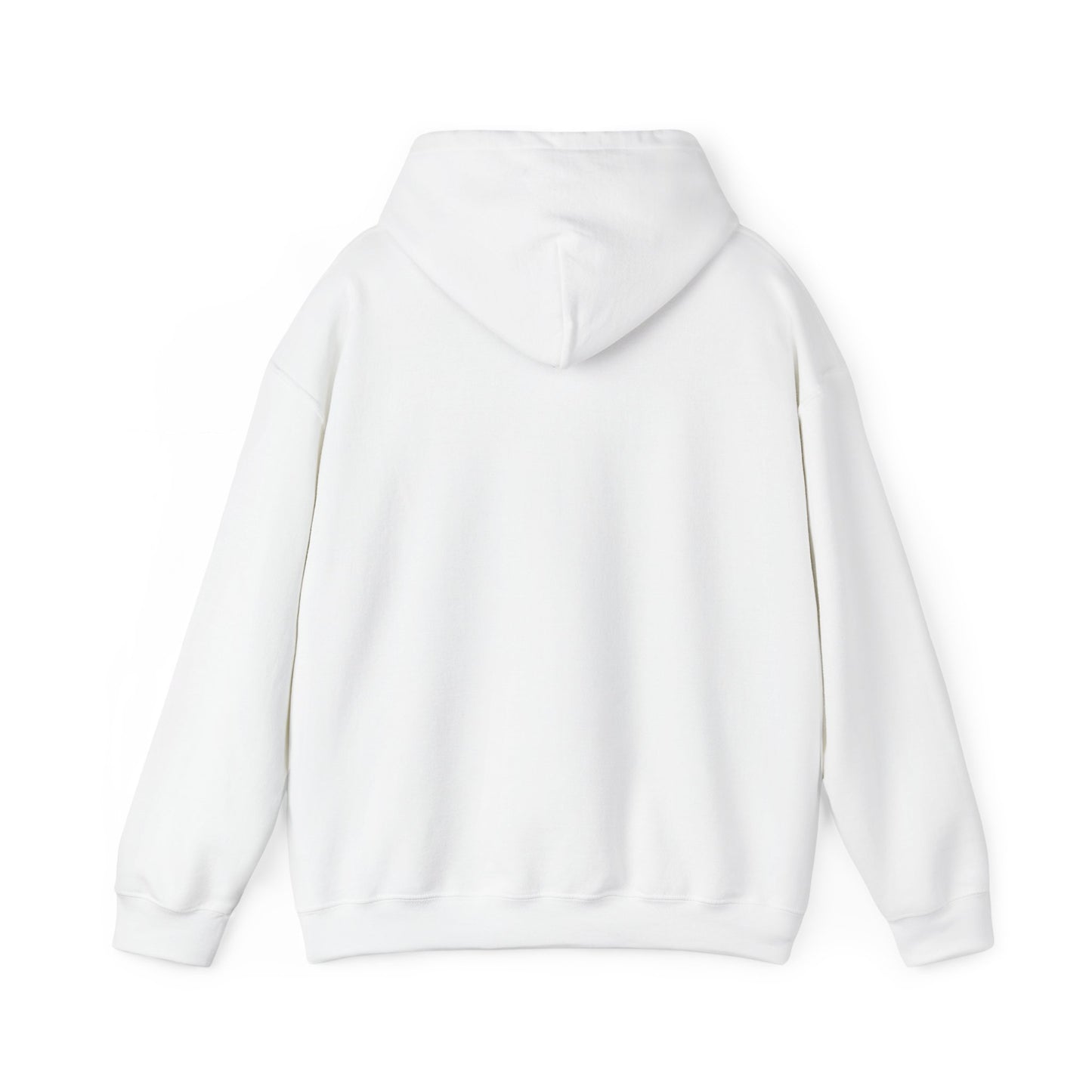 PSA: Don't Be a Dick Pullover Hoodie