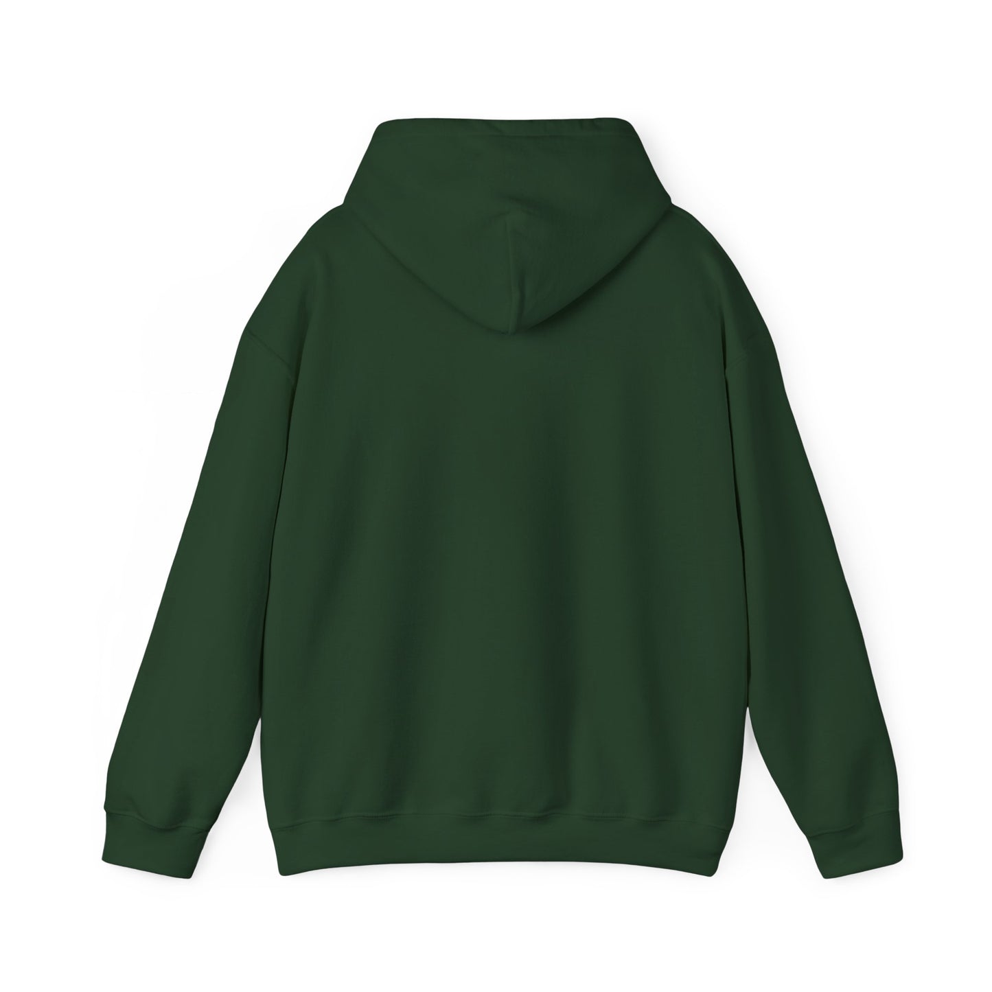 PSA: Don't Be a Dick Pullover Hoodie
