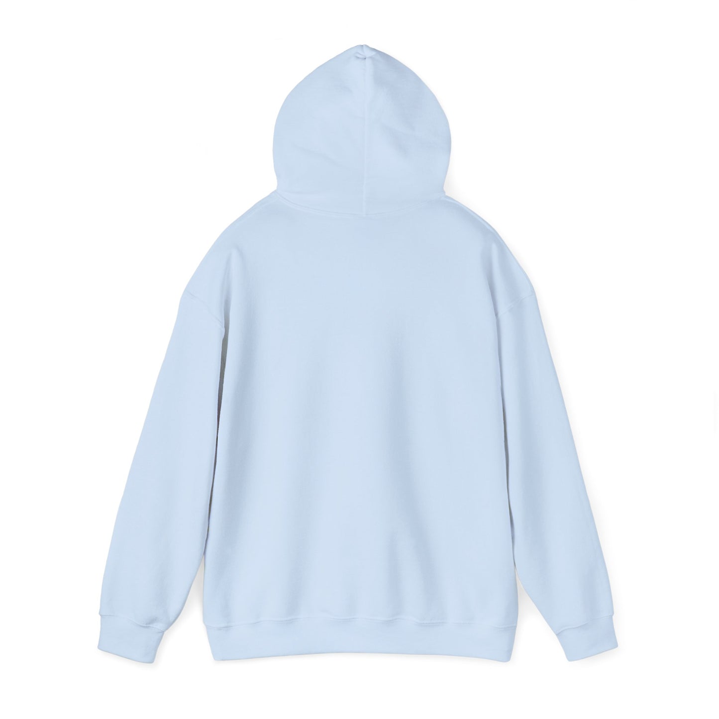 PSA: Don't Be a Dick Pullover Hoodie
