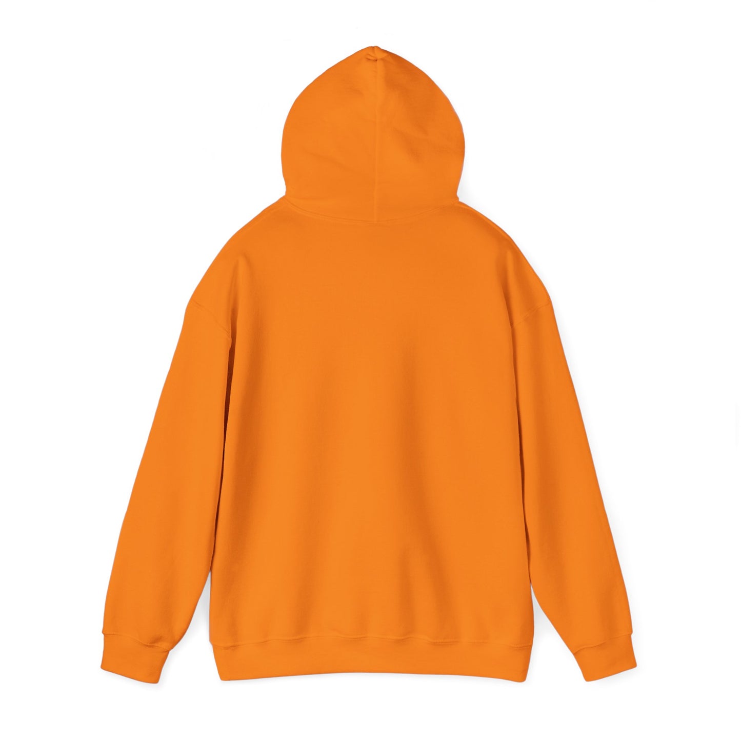 PSA: Don't Be a Dick Pullover Hoodie