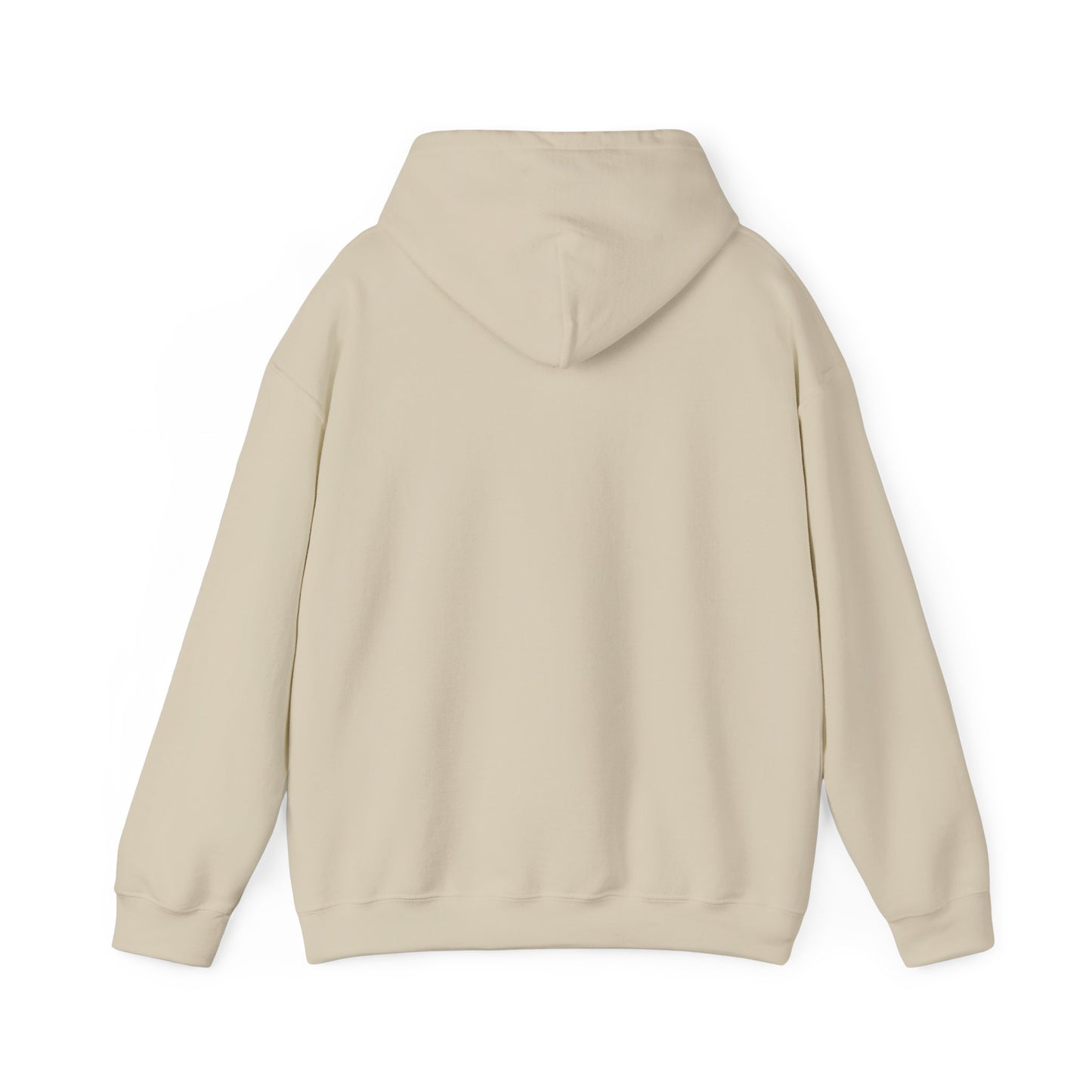 PSA: Don't Be a Dick Pullover Hoodie