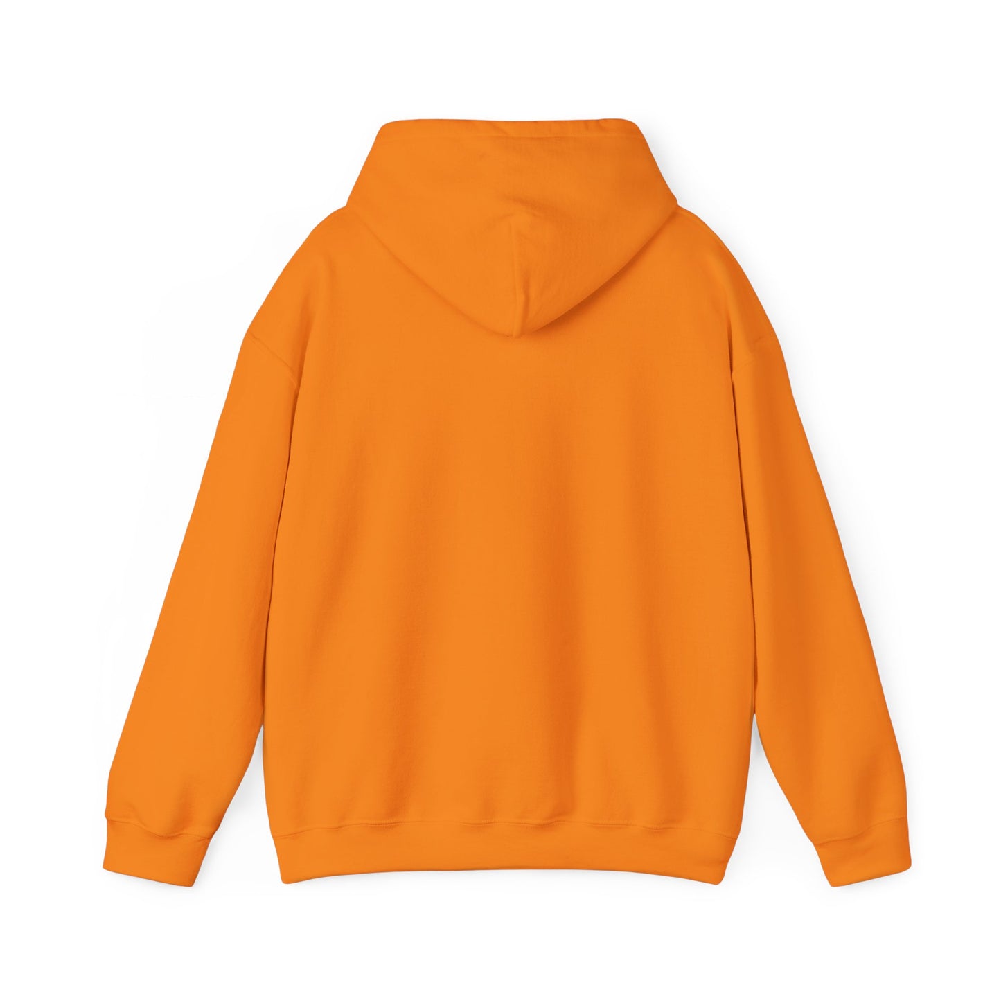 PSA: Don't Be a Dick Pullover Hoodie