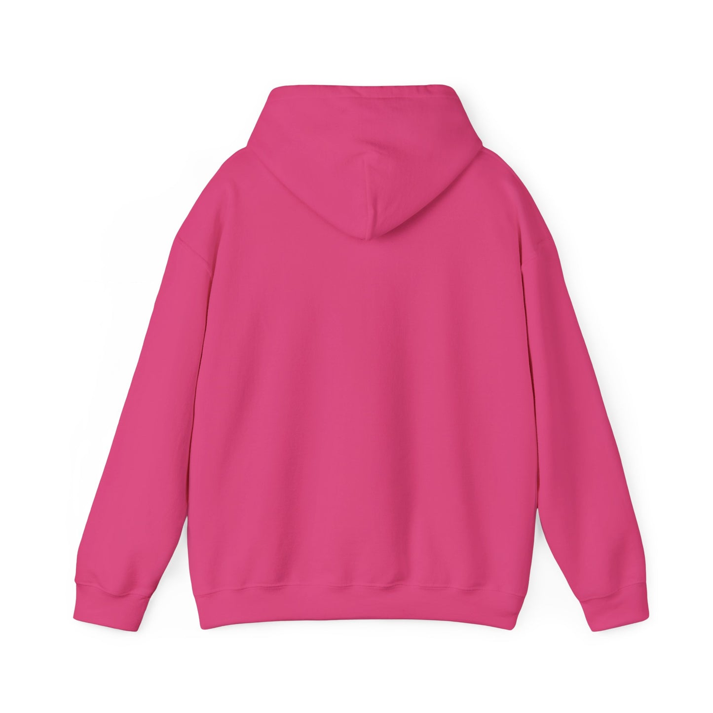 PSA: Don't Be a Dick Pullover Hoodie
