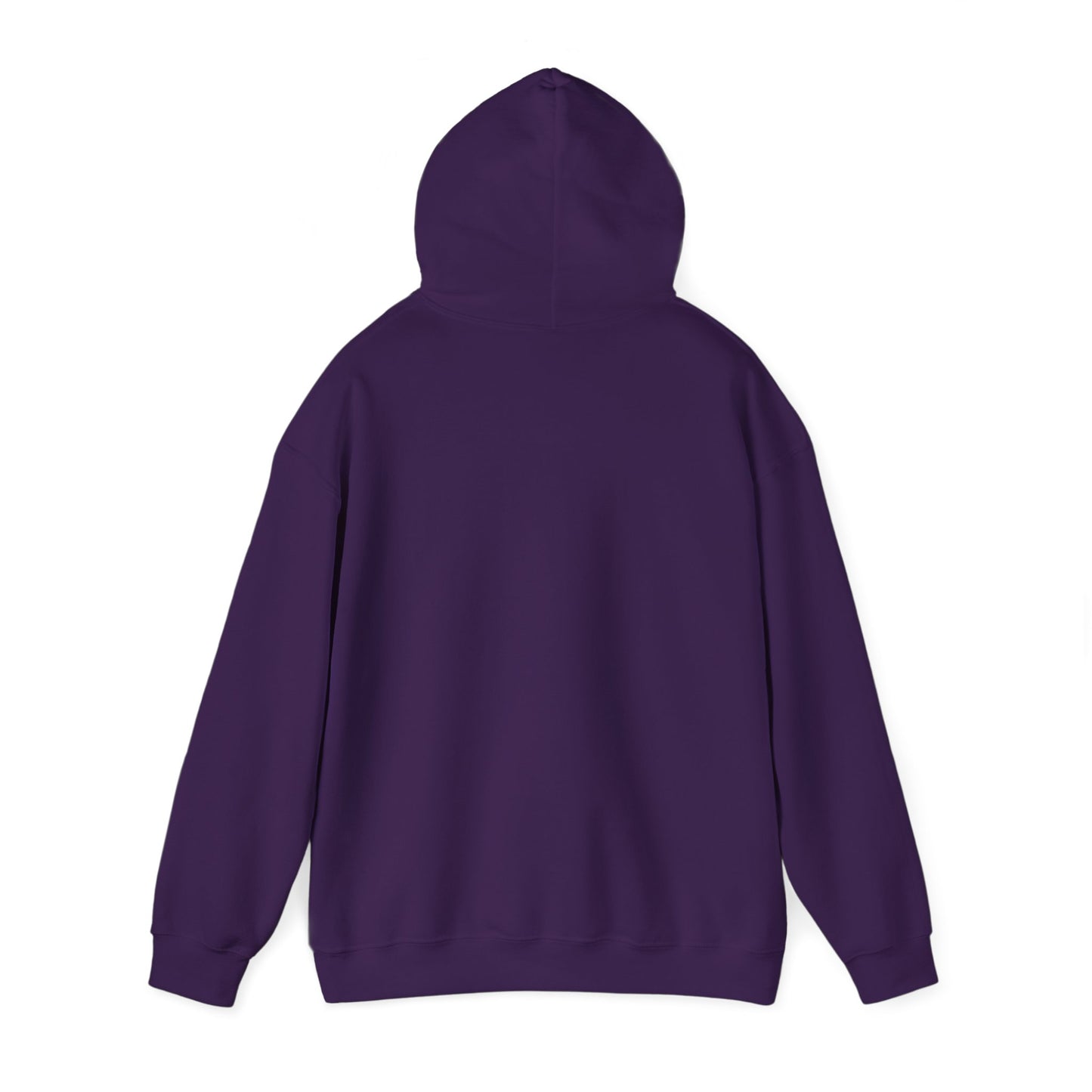 PSA: Don't Be a Dick Pullover Hoodie